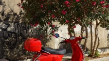 Červený moped pri strome