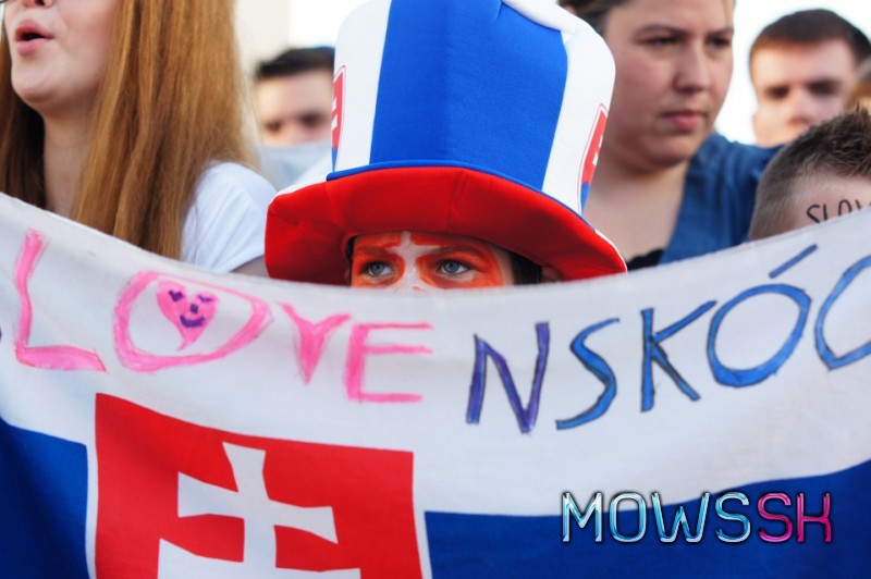 Mladý slovenský fanúšik