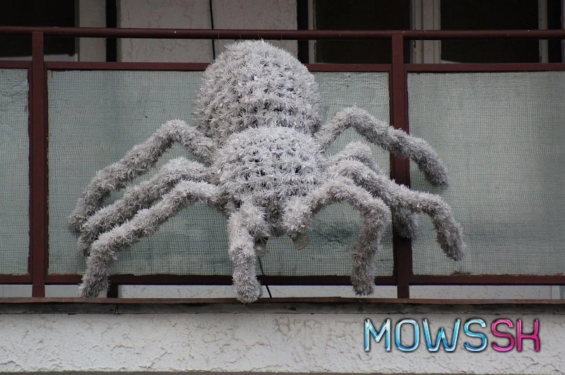 Vianočná tarantula