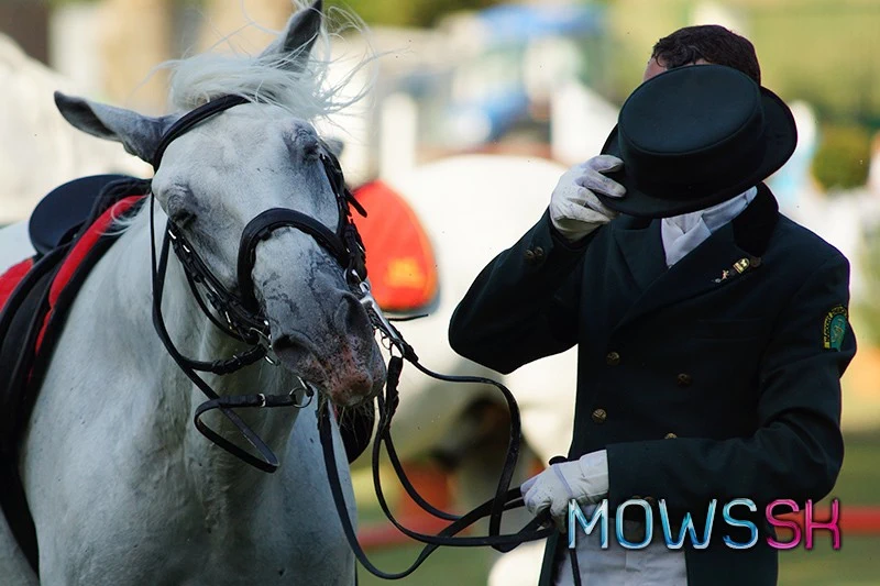 Lipican na Grand Prix