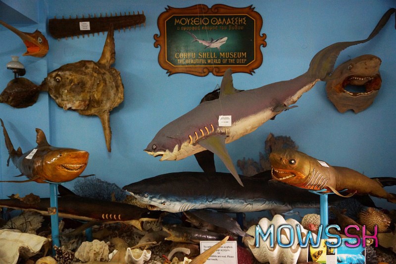 Morské múzeum v Benitses