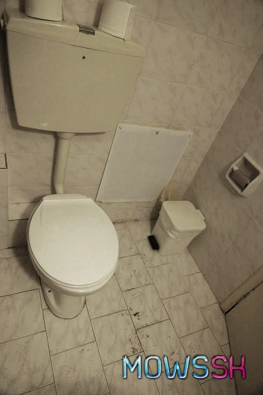 Neupratané wc