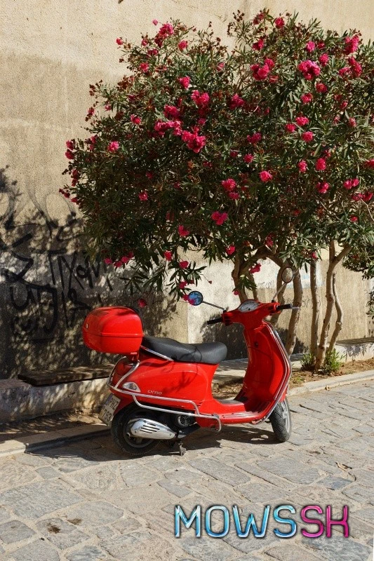 Červený moped pri strome