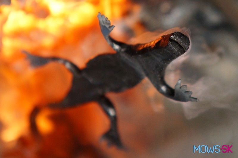 Salamander v ohni
