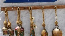 Penelopes