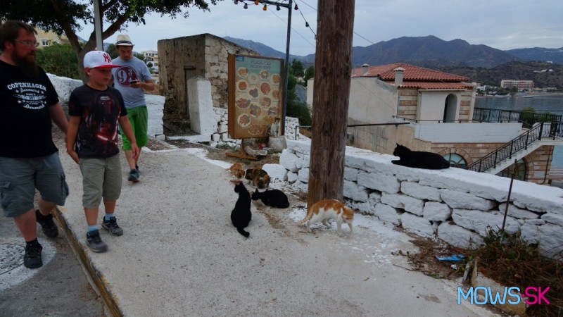 Mačací raj na ostrove Karpathos